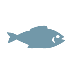 Vis