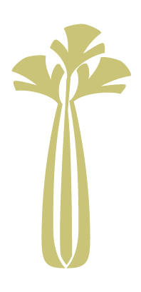 Selderij