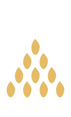 Sesamzaad